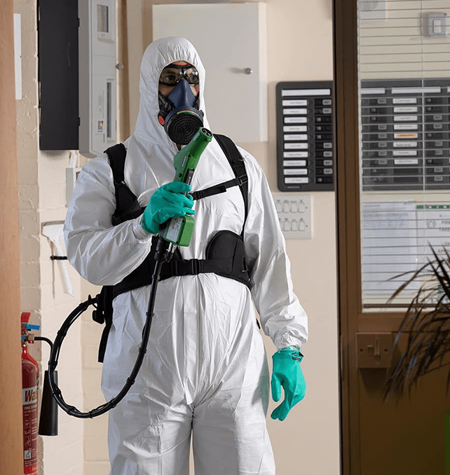 Fumigation cleaning
